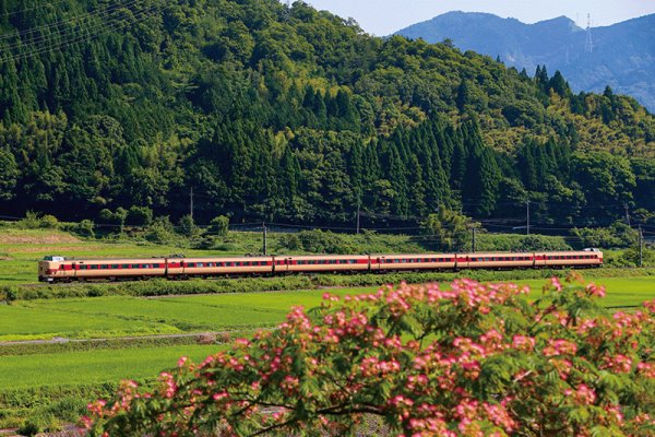 画像1: 特急やくも写真集　ねむの花と国鉄色 (1)