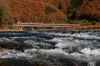 画像1: 特急やくも写真集　高梁川と紅葉 国鉄色 (1)