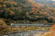 画像1: 特急やくも写真集　紅葉と緑やくも 広石信号所 (1)