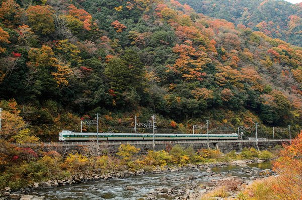 画像1: 特急やくも写真集　紅葉と緑やくも 広石信号所 (1)