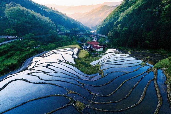 画像1: 山陰絶景　吉賀町の大井谷棚田 (1)