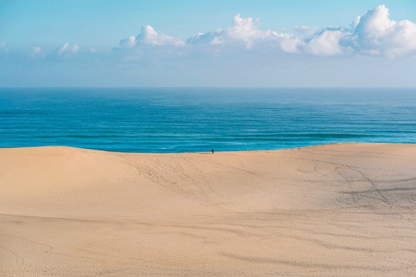 画像1: 山陰絶景　鳥取砂丘 (1)